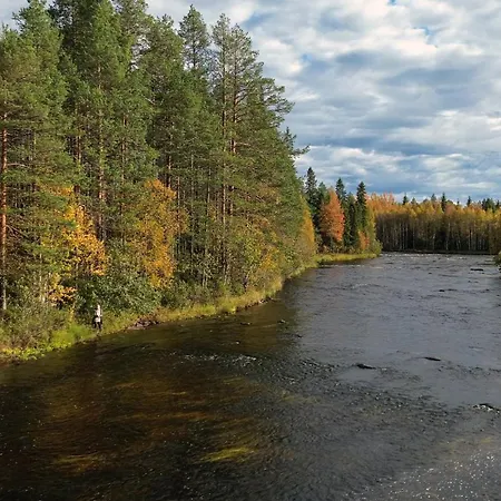 Aurakoski 1 *