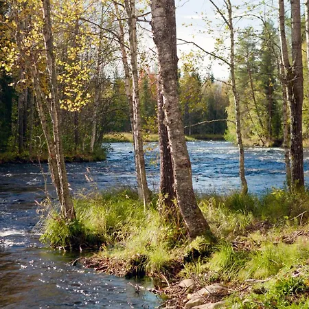 Aurakoski 1 *